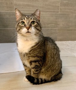 G: Official Prickly Apple Cider Mascot