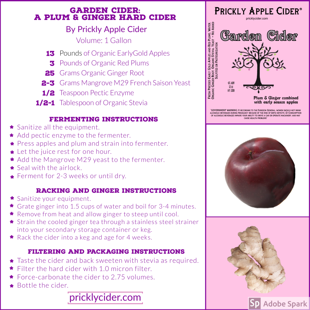 Garden Cider: Plum-Ginger Hard Cider Recipe