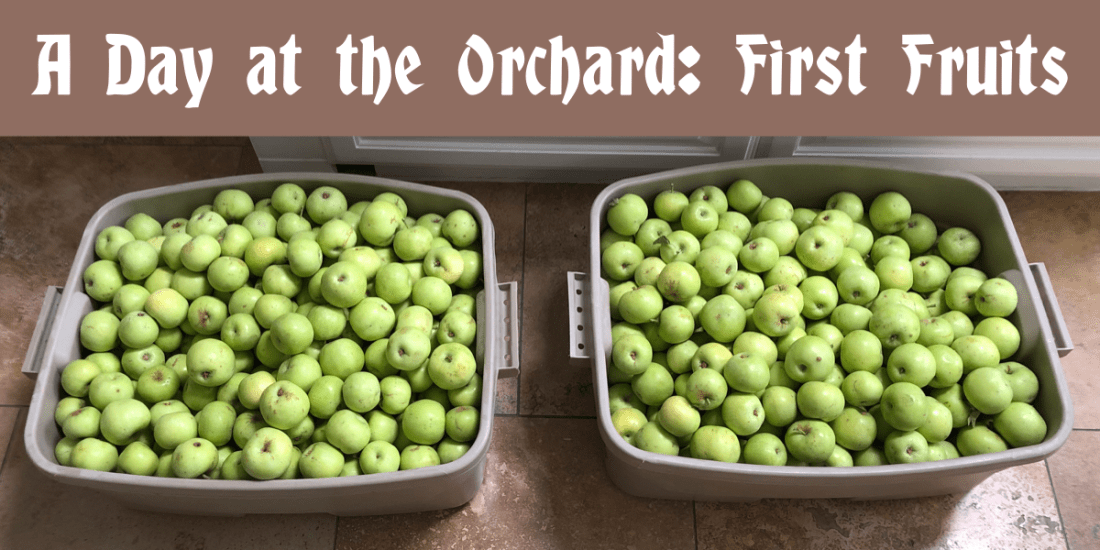 A Day at the Orchard: First Fruits