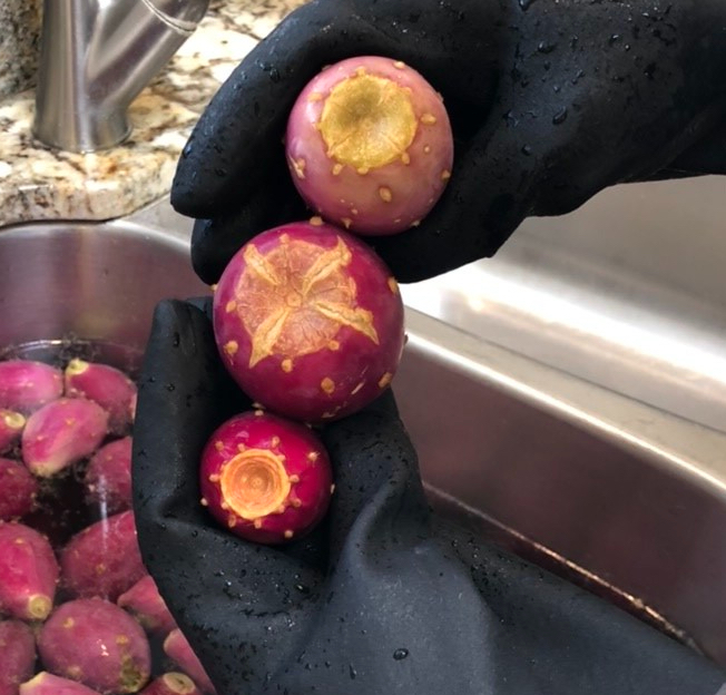 Prickly Pear Fruit Ripeness: Flat Top