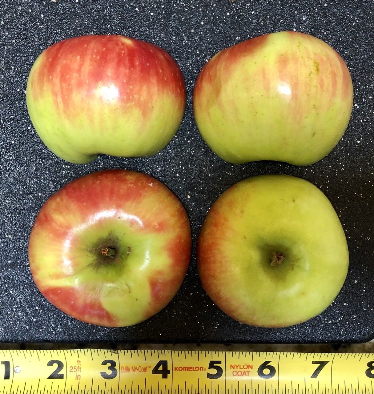 Elstar Apple: Exterior