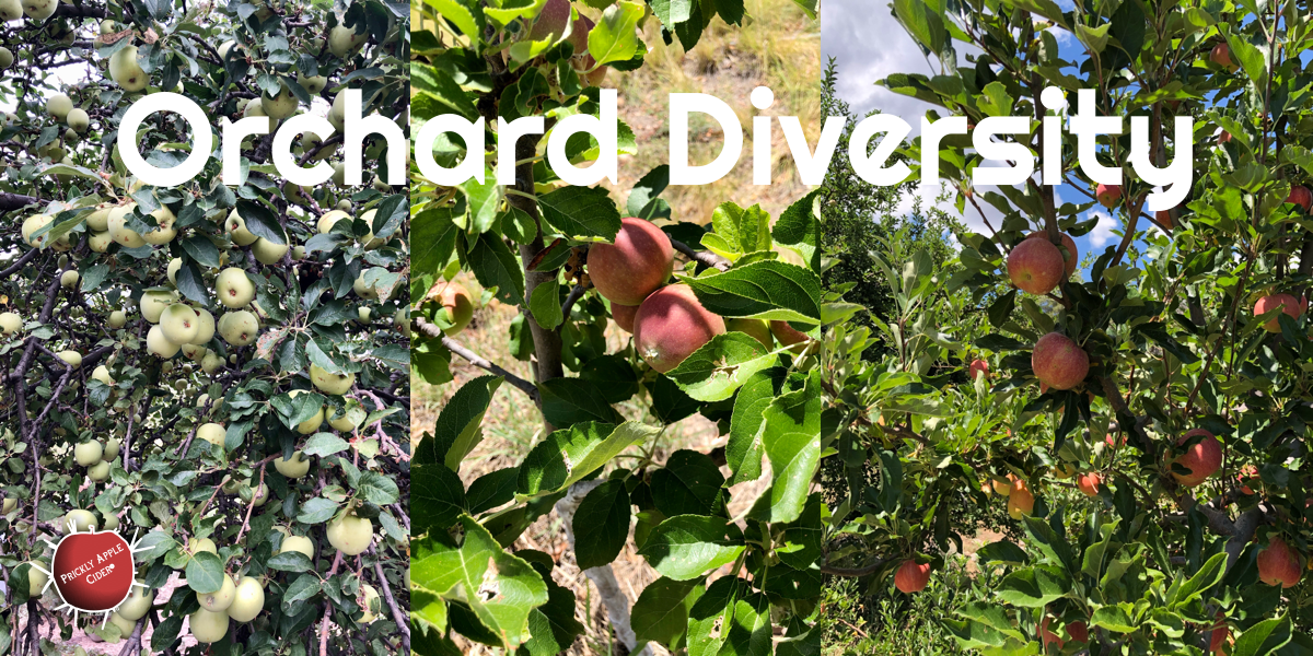 Orchard Diversity
