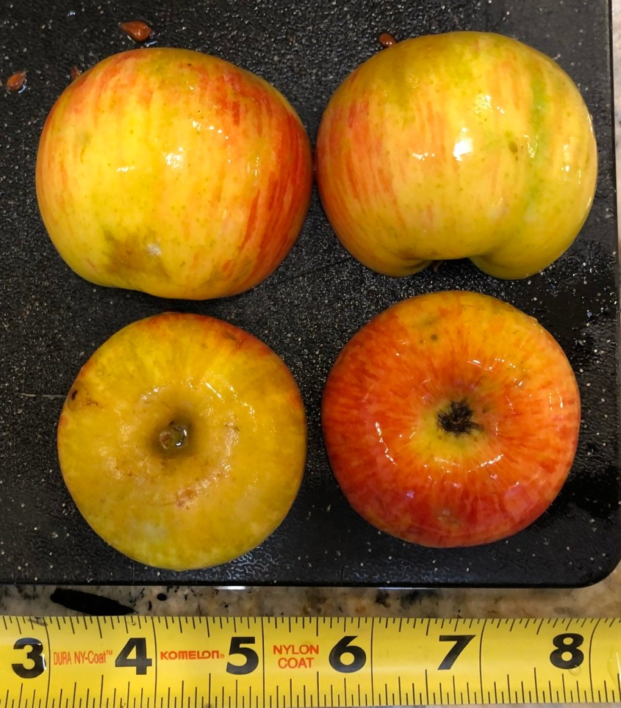 A Day at the Orchard: Apple Paradise – PricklyCider.com