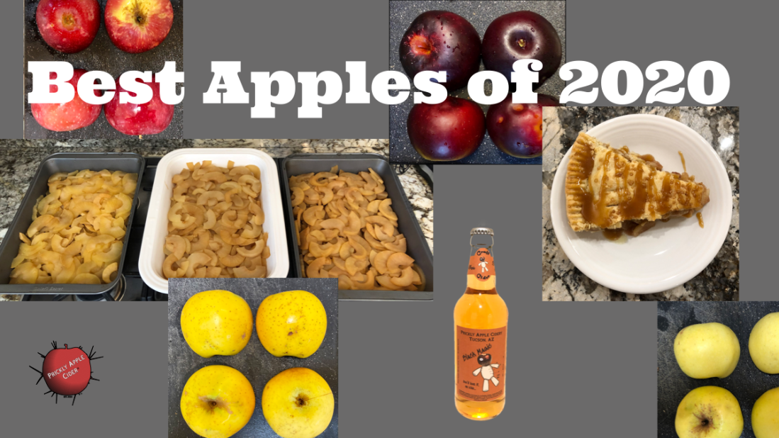 Best Apples of 2020