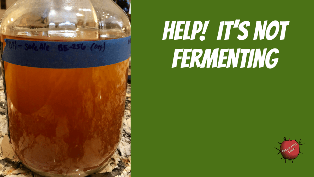 Not Fermenting