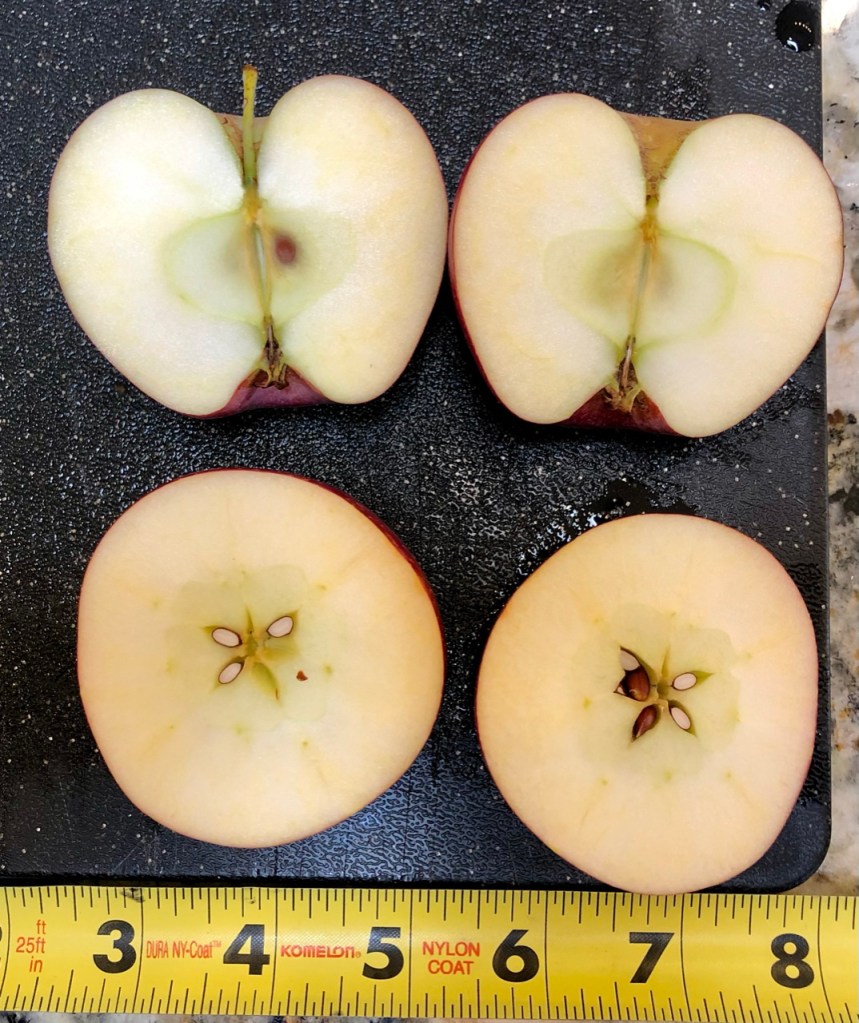 Hardly Cumberland Interior