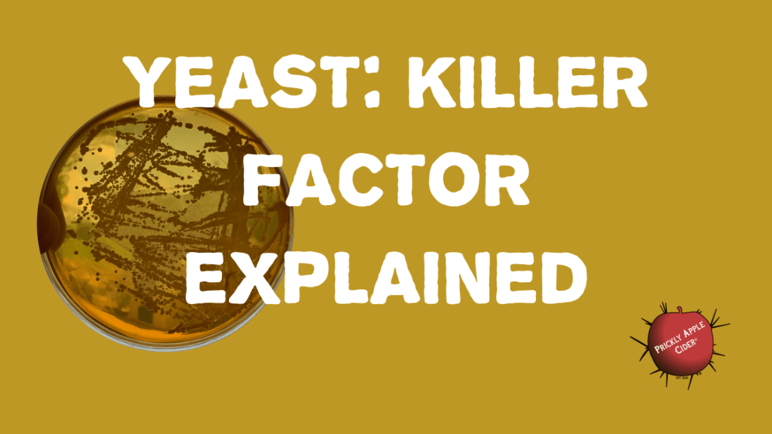 Yeast Killer Factor: What does it mean and how could it impact your cider.