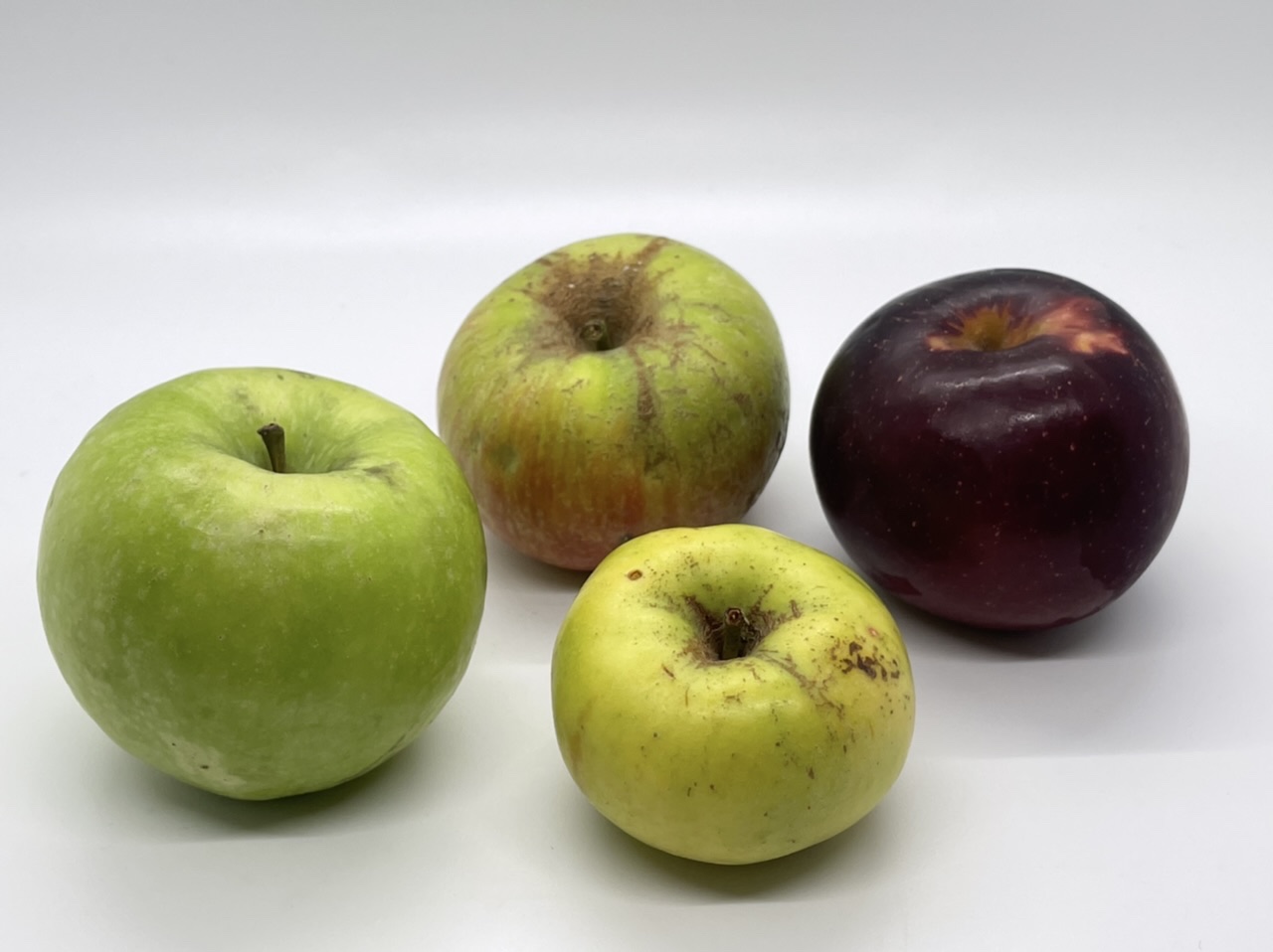 Apples and Acids: The most common acids in hard cider