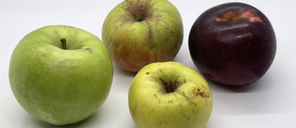 Apple Varieties