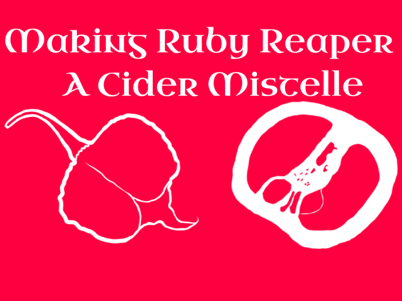 Making Ruby Reaper Cider&nbsp;Mistelle