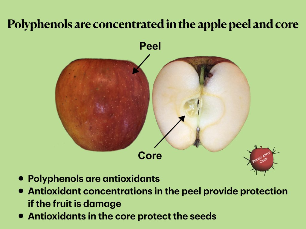 Polyphenols: The peel and the core