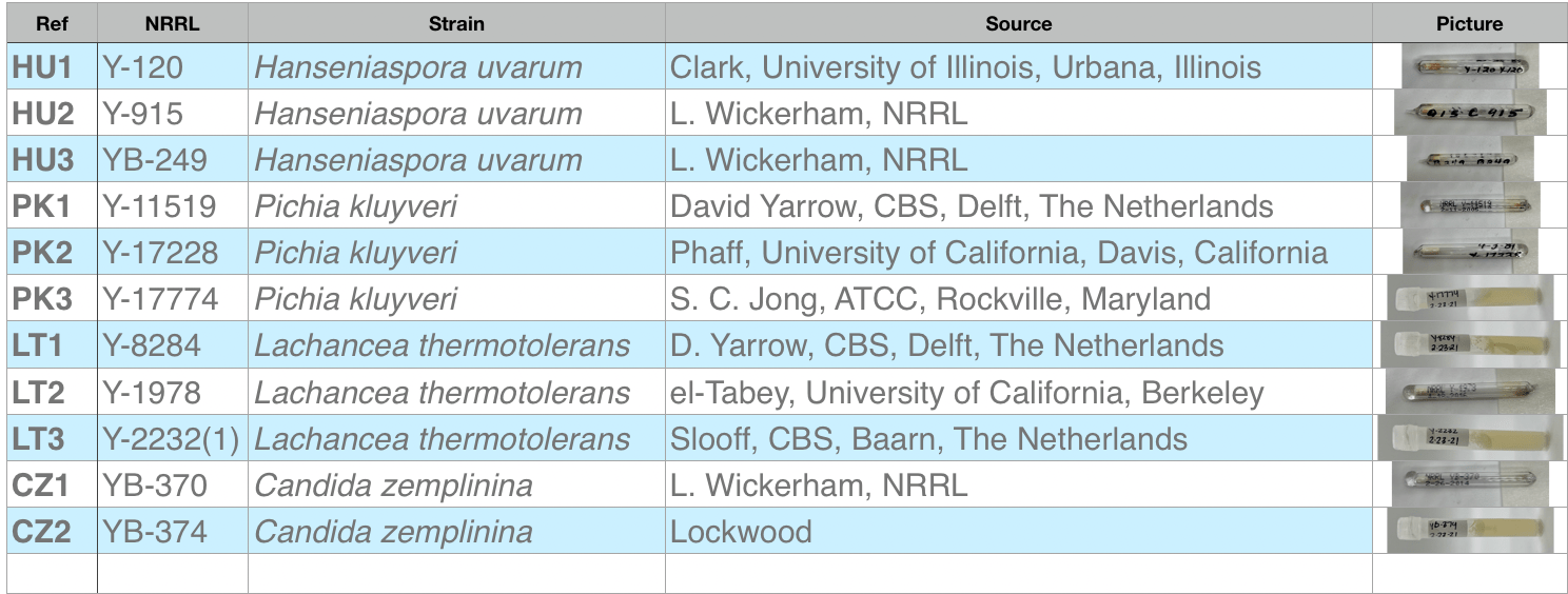 Non-Saccharomyces Yeast Strains: USDA NRRL Culture Collection