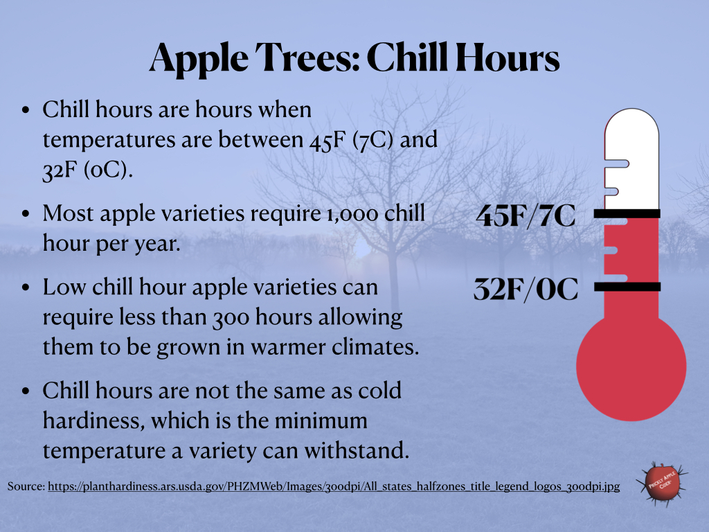 Apple Trees: Chill Hours