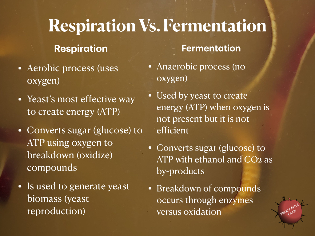 What is respiration and how is it different from fermentation?