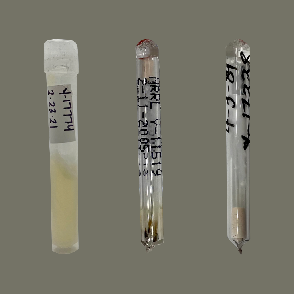 Pichia kluyveri: From the USDA Culture Collection