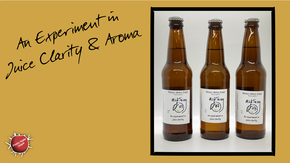 Hard Cider Experiments