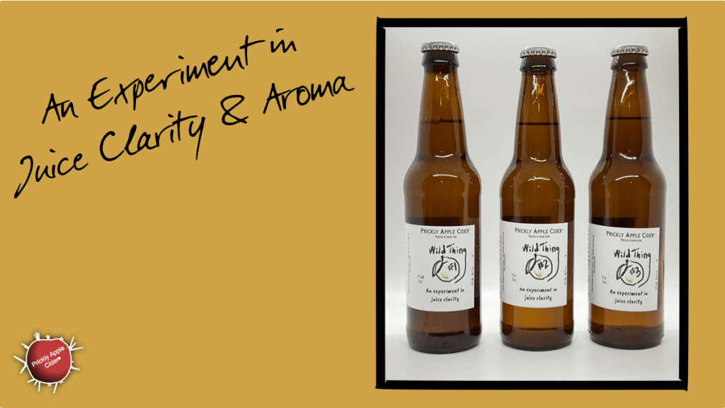 Wild Thing: A Cider Process&nbsp;Experiment