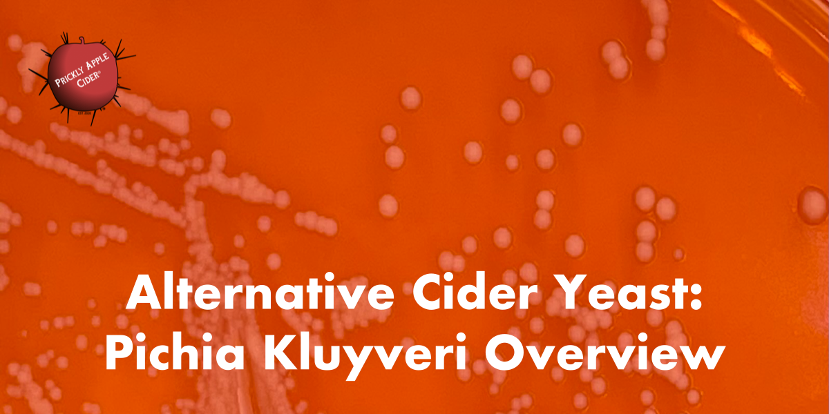 Alternative Yeast: Pichia Kluyveri
