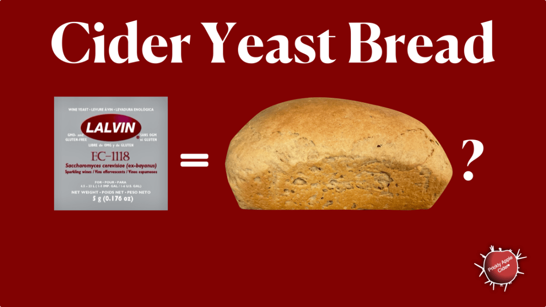 Making bread from cider yeast.