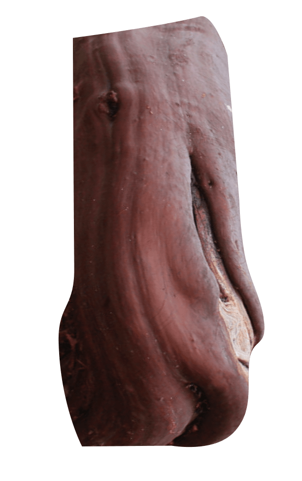 The bark of the manzanita tree.