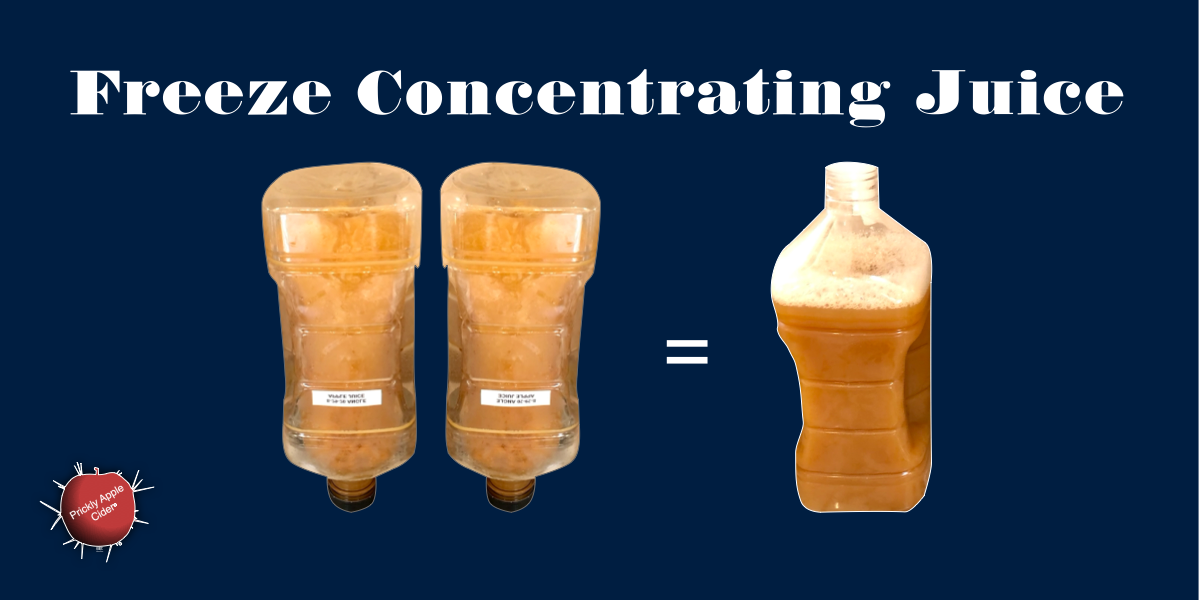 Freeze Concentrating Apple Juice