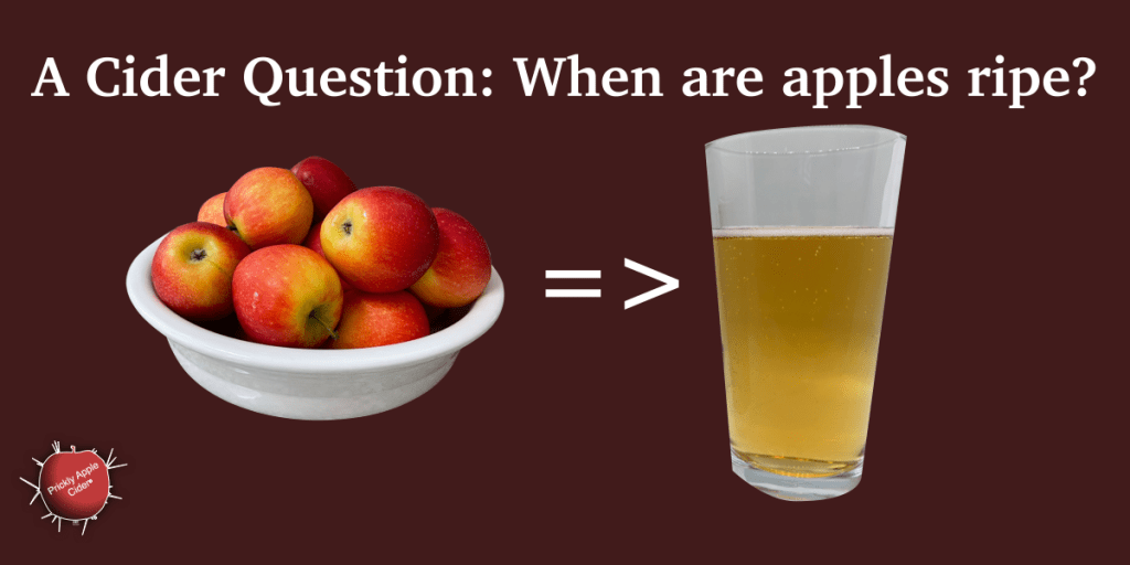 When are apples&nbsp;ripe?
