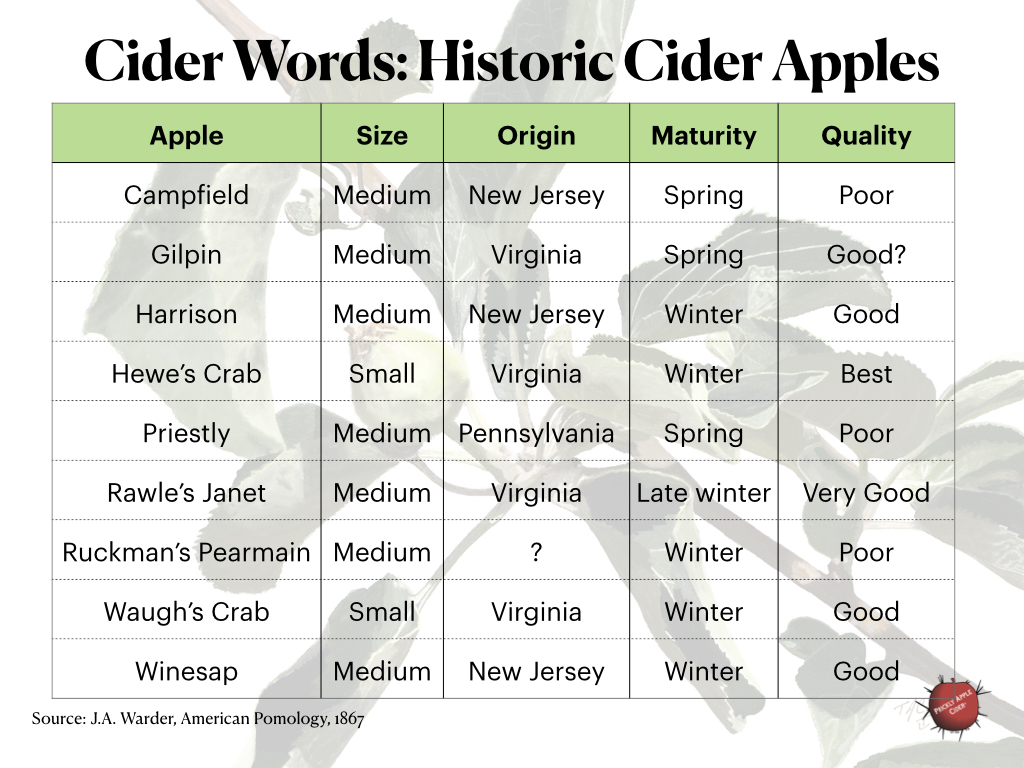 Historic American Cider Apples
