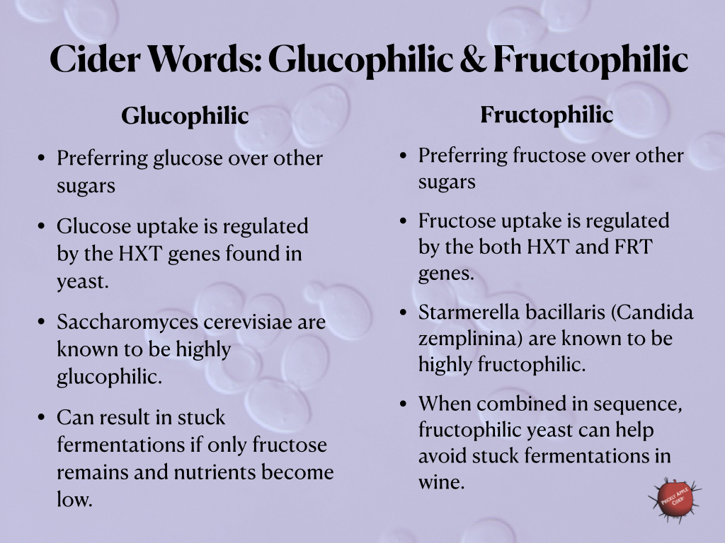 Glucophilic and Fructophilic
