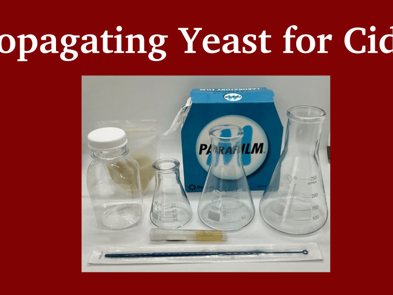 Yeast Propagation for&nbsp;Cider