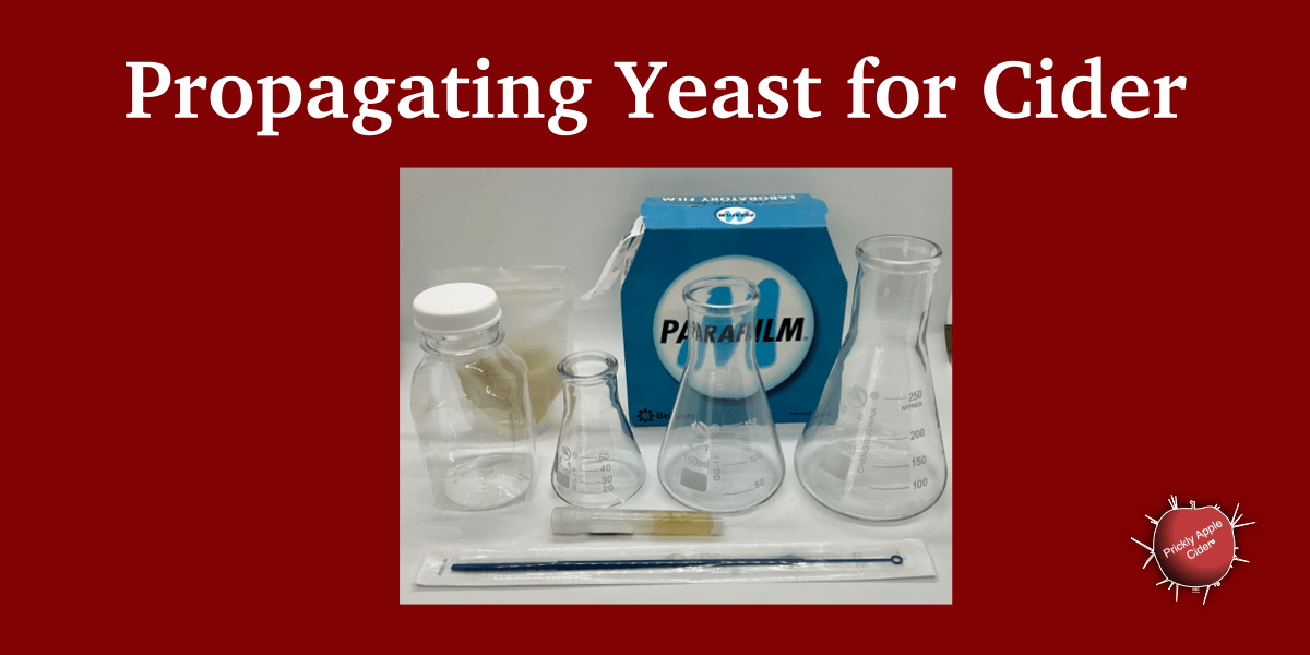 Yeast Propagation for&nbsp;Cider