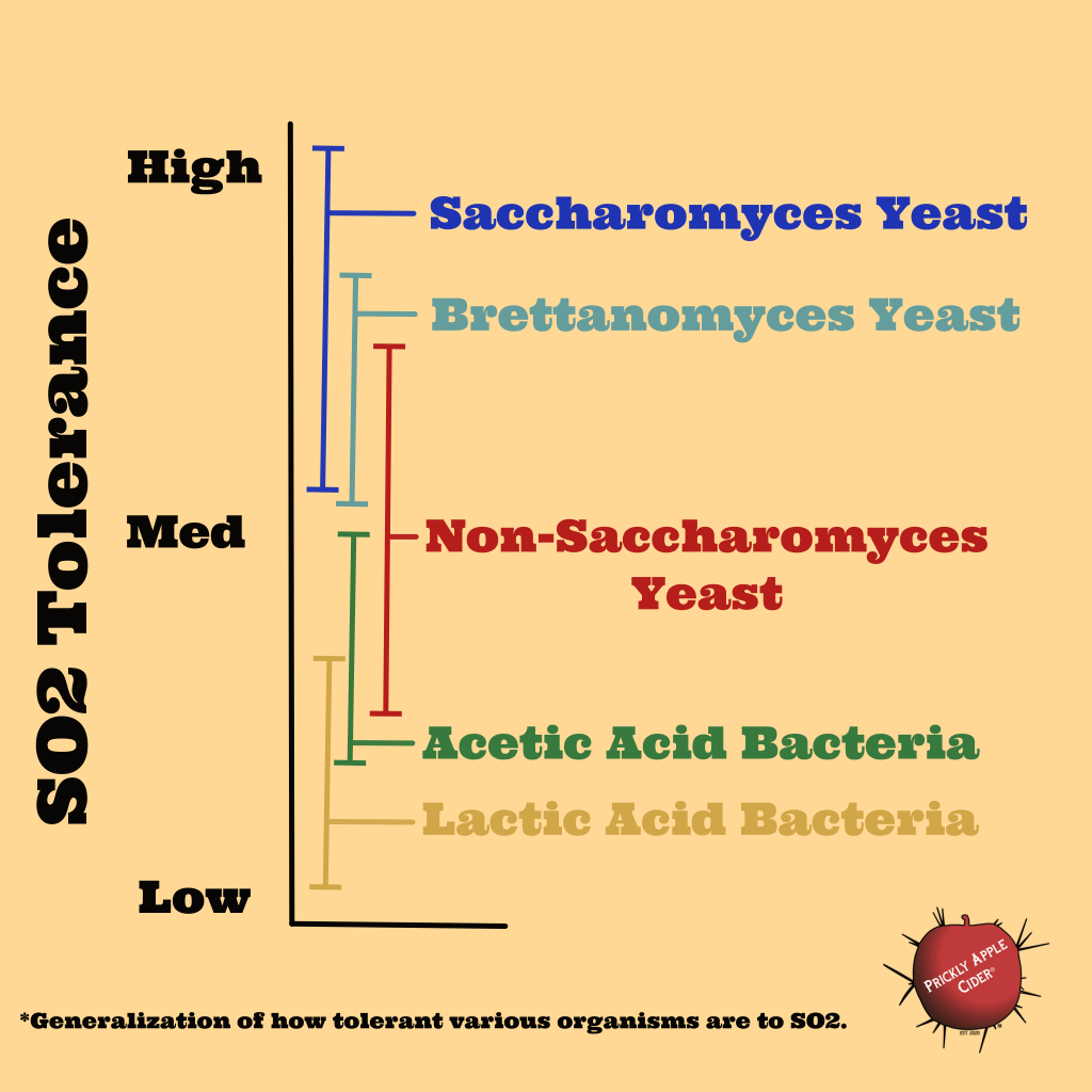 Generalization of how tolerant various microorganisms are to free SO2.