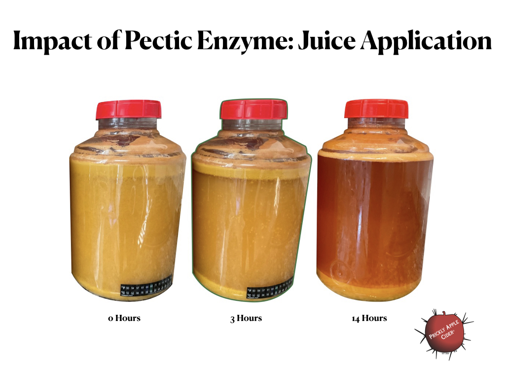 Impact of Pectic Enzyme - Juice Application