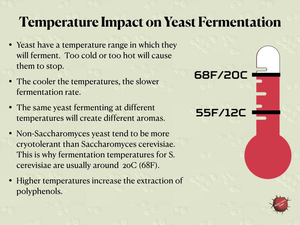 The impact of temperature on yeast fermentation.