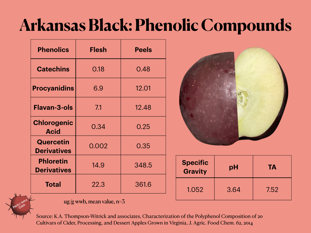 Phenolic compounds found in Arkansas Black apples.