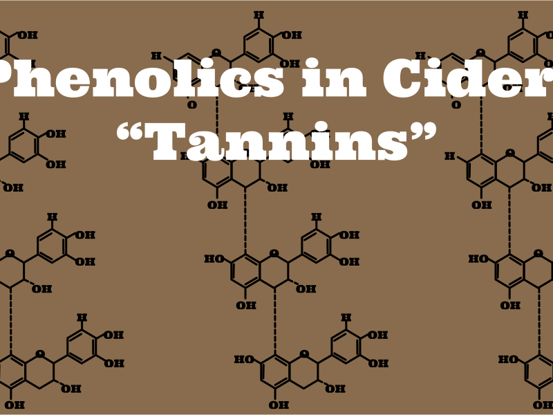 Phenolics and Cider