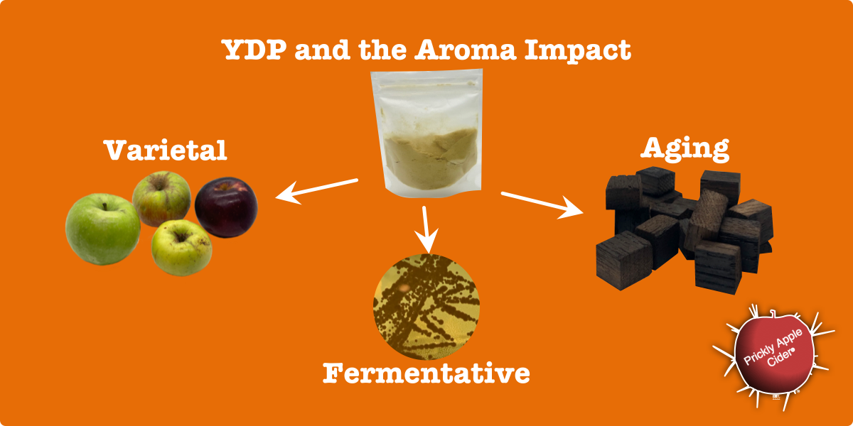 The impact of Yeast Derivative Products on Aroma