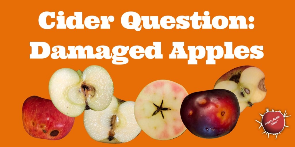 Cider Question:  Can I use apples with worm&nbsp;holes?