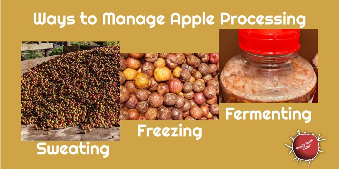 Delay Apple Rocessing