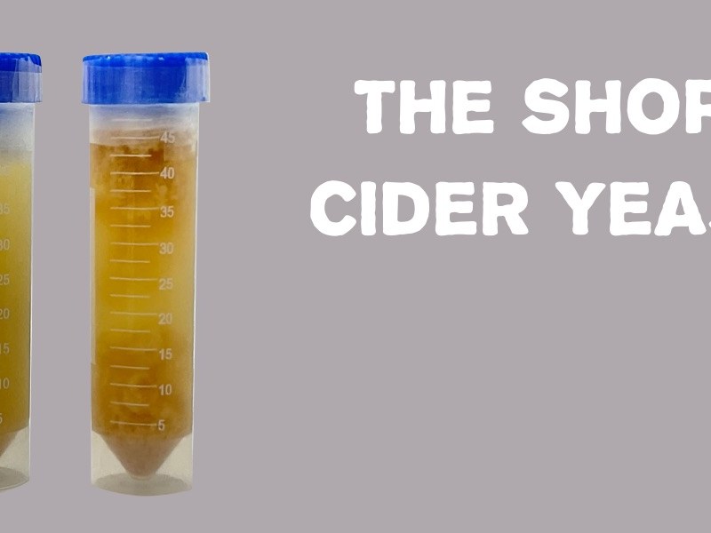 Cider Yeast
