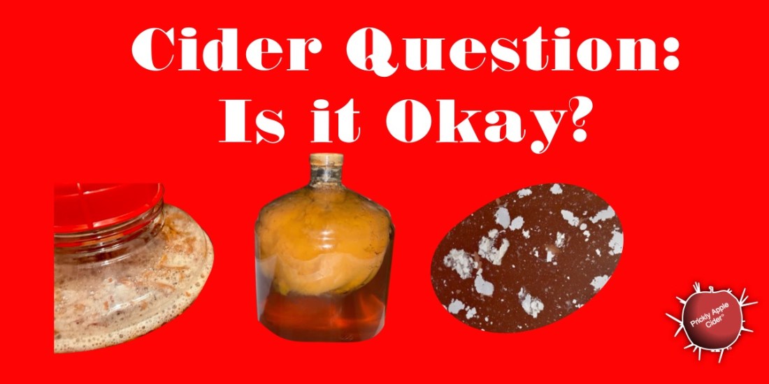 Assessing various cider conditions