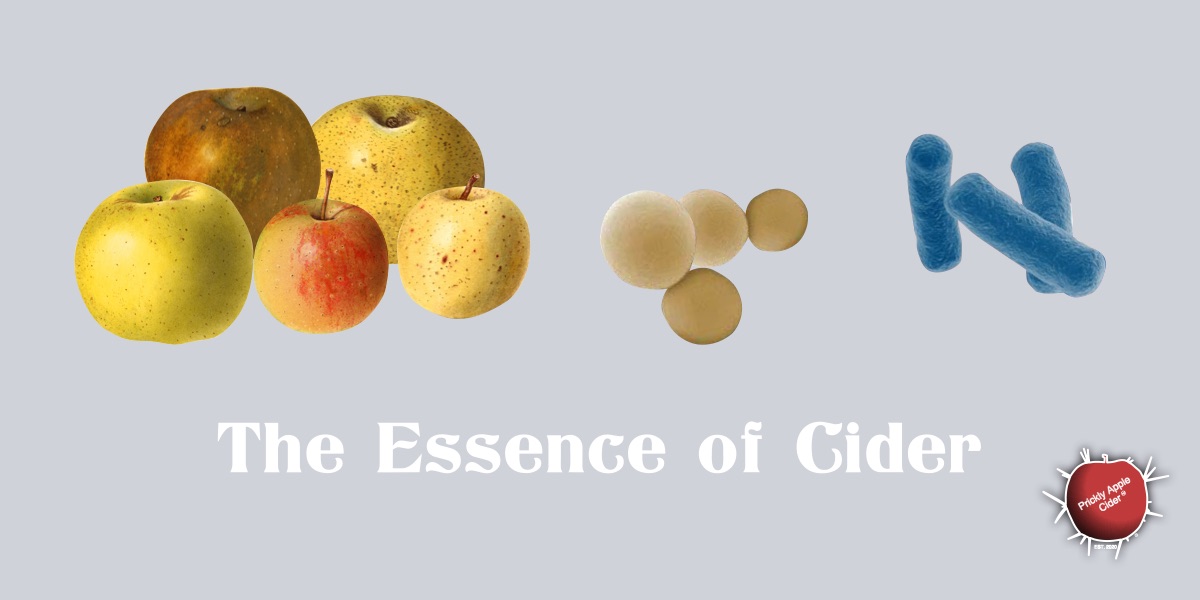 The Essence of&nbsp;Cider