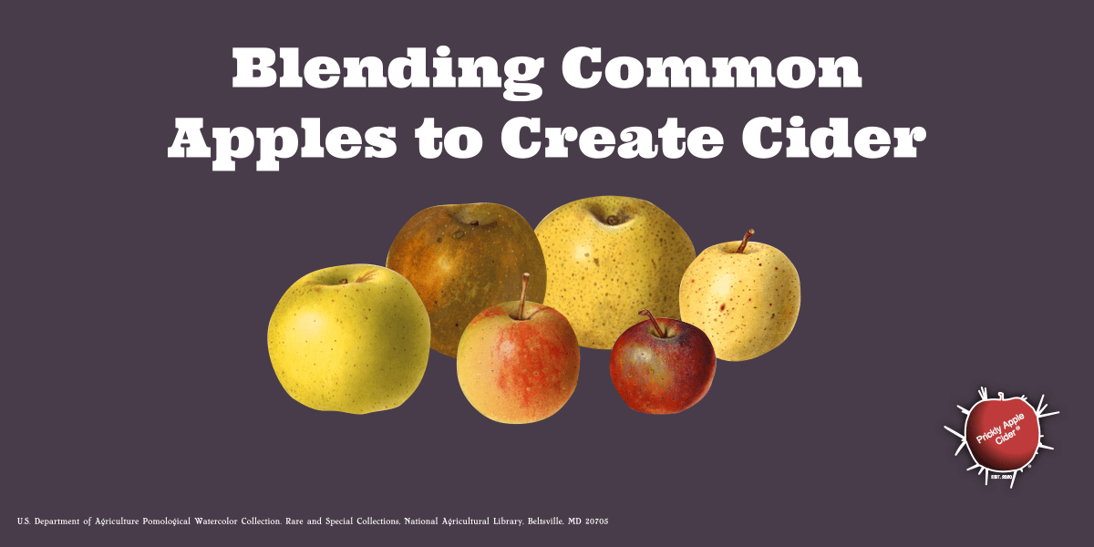 Cider Fundamentals: Blending Common Apples to Make&nbsp;Cider
