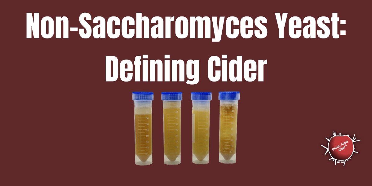 Non-Saccharomyces Yeast:  Defining Cider from a Cider-Makers&nbsp;Perspective