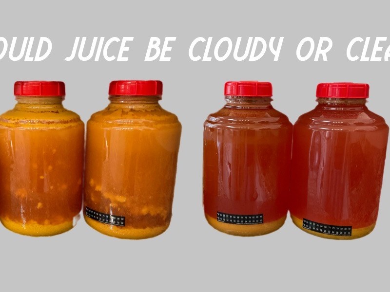 Cider Question: Should my juice be clear or&nbsp;cloudy?