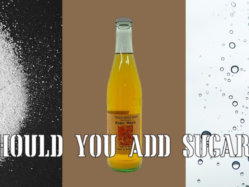 Cider Question: Should I add&nbsp;sugar?