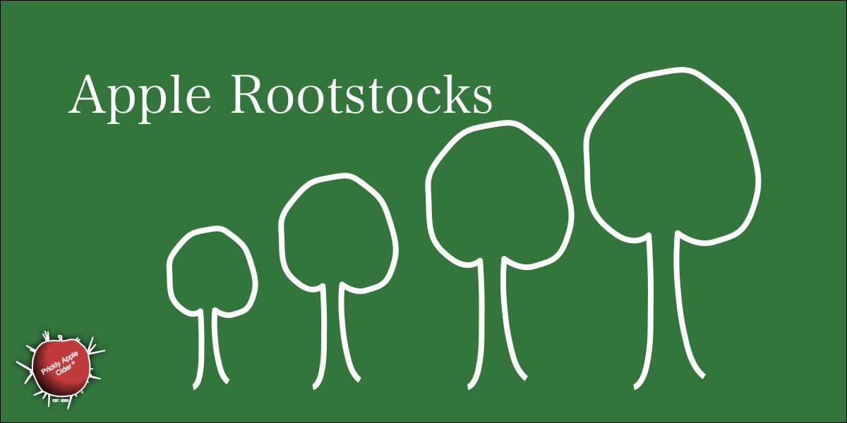 Apple Rootstocks
