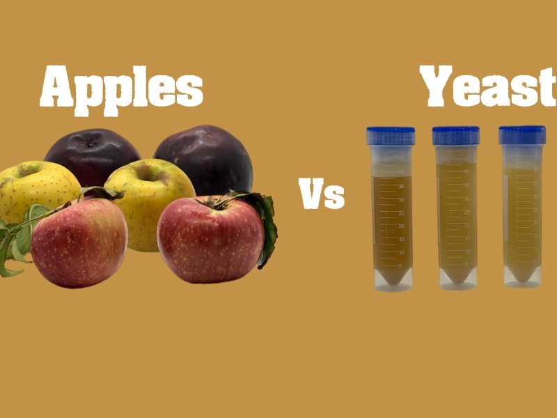 Cider Question: Apples or&nbsp;Yeast