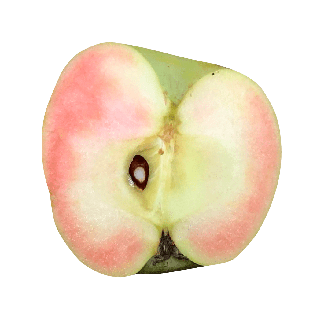 Hidden Rose Apple
