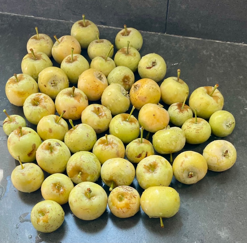 Hewe’s Crabapple